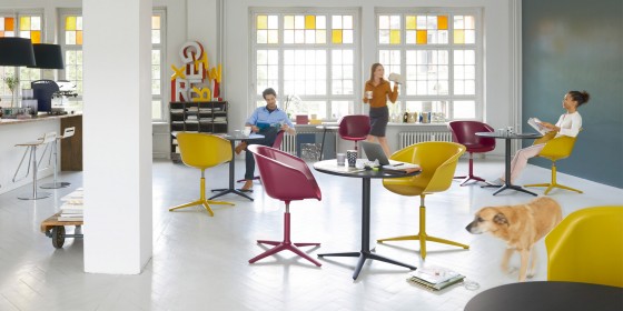 SEDUS Scaun bistro - Scaune bistro, scaune de birou pivotante, scaune pentru meeting  SEDUS