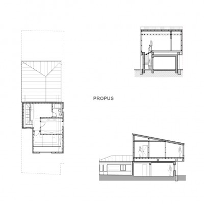 AsiCarhitectura Locuinta unifamiliara - P+E Bucuresti - plan propus - Proiecte de case proiecte de locuinte
