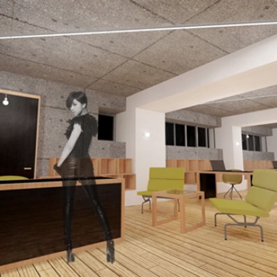 AsiCarhitectura Din garaj in birou (transformare) - Proiectare si proiecte pentru amenajari de birouri AsiCarhitectura