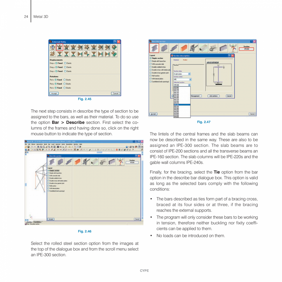 Pagina 24-Exemple practice CYPE CYPE 3D Fisa tehnica Engleza blue to differentiate
between these and the...
