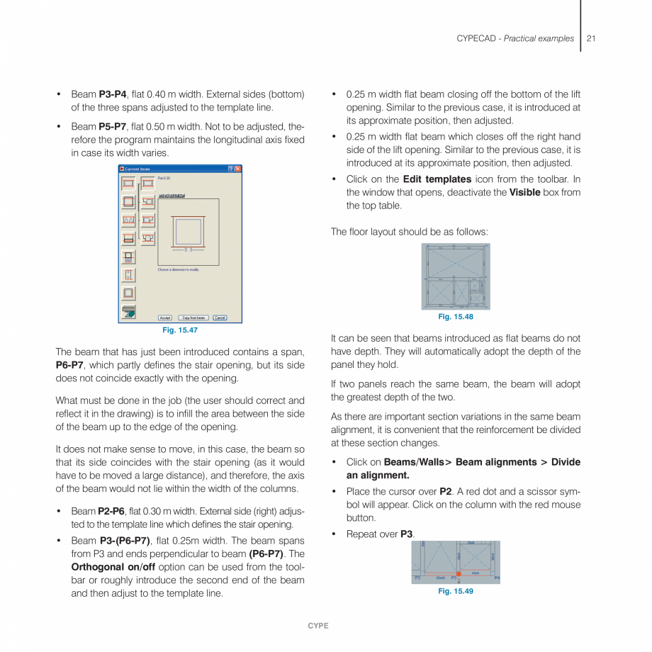Pagina 21-Exemple practice CYPE CYPECAD Fisa tehnica Engleza  Click on the Template object snaps
icon in the
...