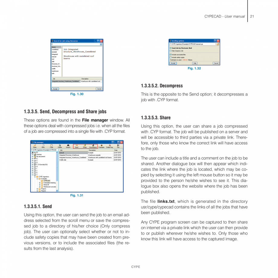 Pagina 21-Manual de utilizare CYPE CYPECAD Instructiuni montaj, utilizare Engleza  module . . . . . . .104

10...