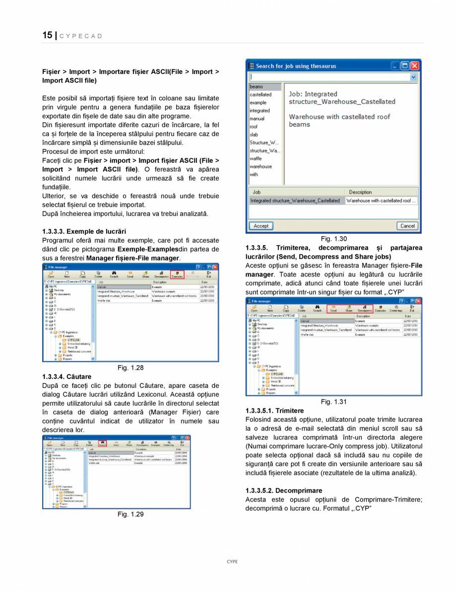 Pagina 15-Manual de utilizare CYPE CAD CYPE CYPECAD Instructiuni montaj, utilizare Romana  toate aspectele...