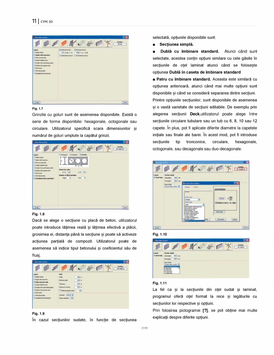 Pagina 11-Manual de utilizare CYPE 3D CYPE Instructiuni montaj, utilizare Romana  stânga la dreapta,...