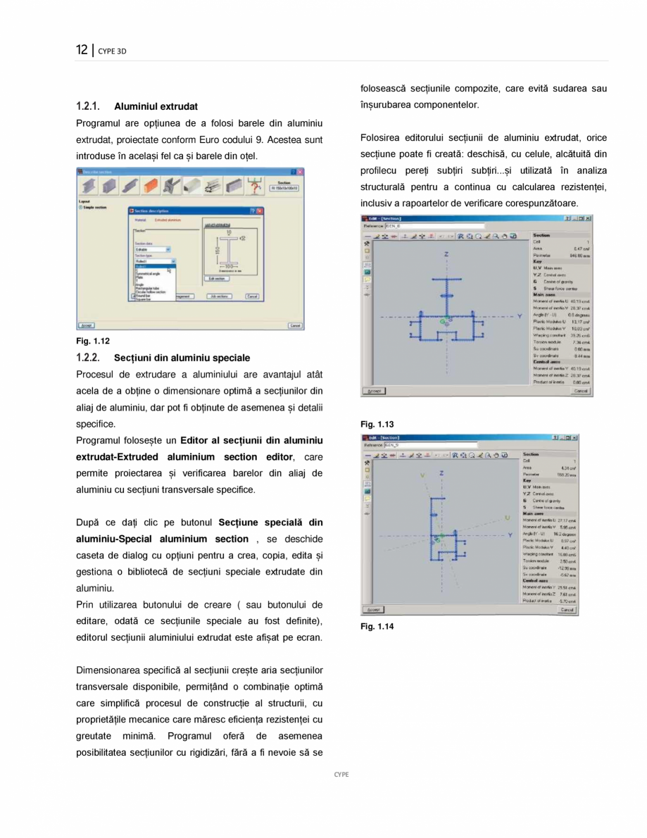 Pagina 12-Manual de utilizare CYPE 3D CYPE Instructiuni montaj, utilizare Romana e referință, de exemplu,...