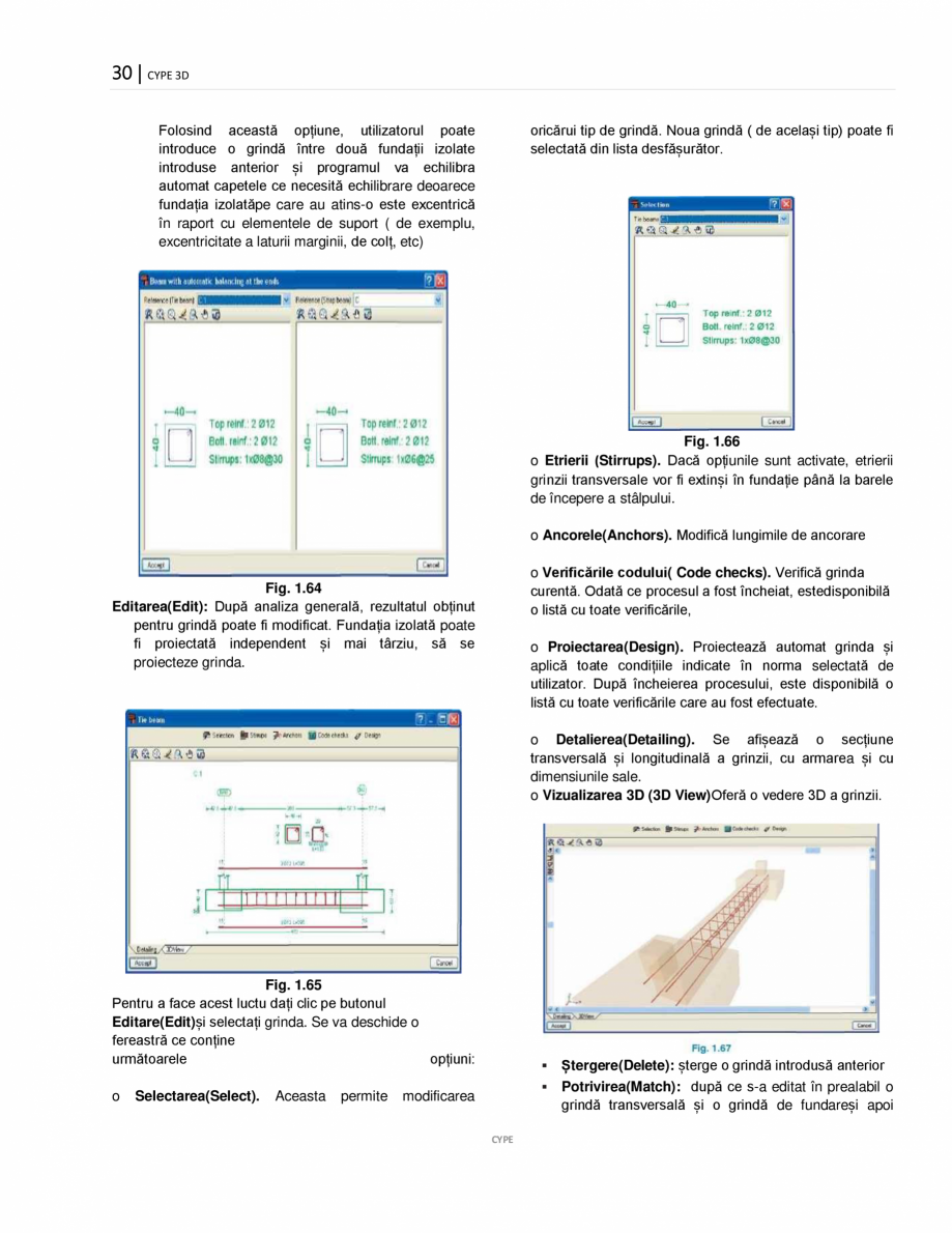 Pagina 30-Manual de utilizare CYPE 3D CYPE Instructiuni montaj, utilizare Romana unile din lemn(Job > Timber...