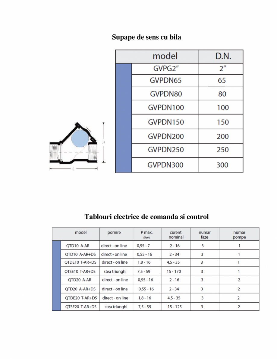 Pagina 2-Date tehnice statii de pompare GIMANI&MUFLE Beton Fisa tehnica Romana 