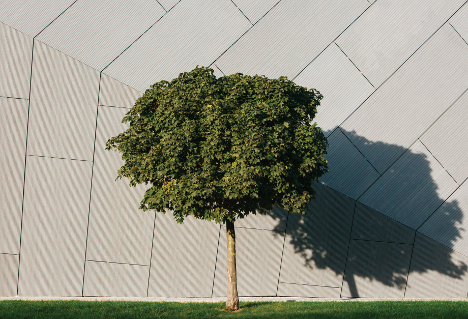 Pagina 9-Referinte EQUITONE in Ungaria EQUITONE [natura] [natura], [natura] PRO Lucrari, proiecte Romana 