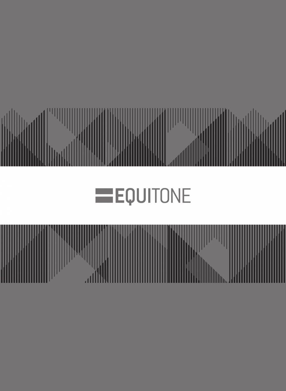 Pagina 46-Referinte EQUITONE in Ungaria EQUITONE [natura] [natura], [natura] PRO Lucrari, proiecte Romana 