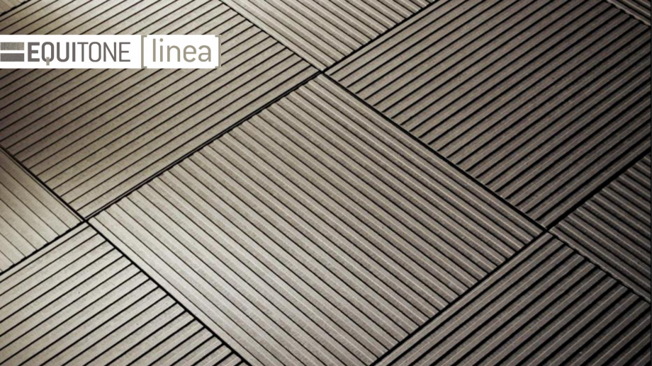 Pagina 1-Fatada ventilata din fibrociment EQUITONE [linea] [linea] Catalog, brosura Engleza Light

Shadow
...