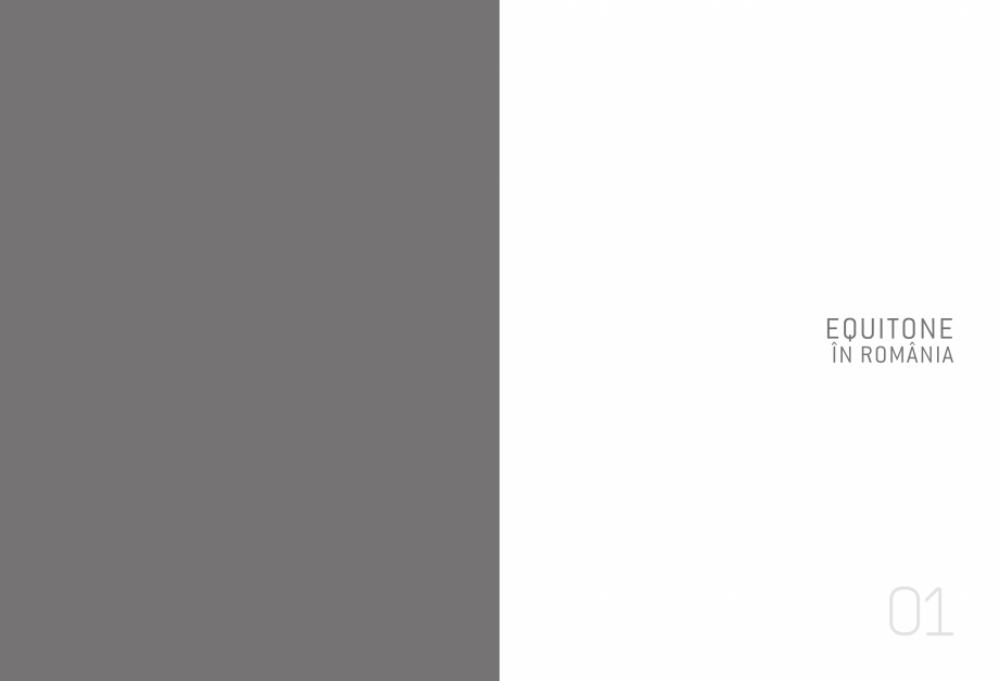Pagina 2-Referinte EQUITONE in Romania EQUITONE [linea] [linea], [lunara] Lucrari, proiecte Engleza abin...