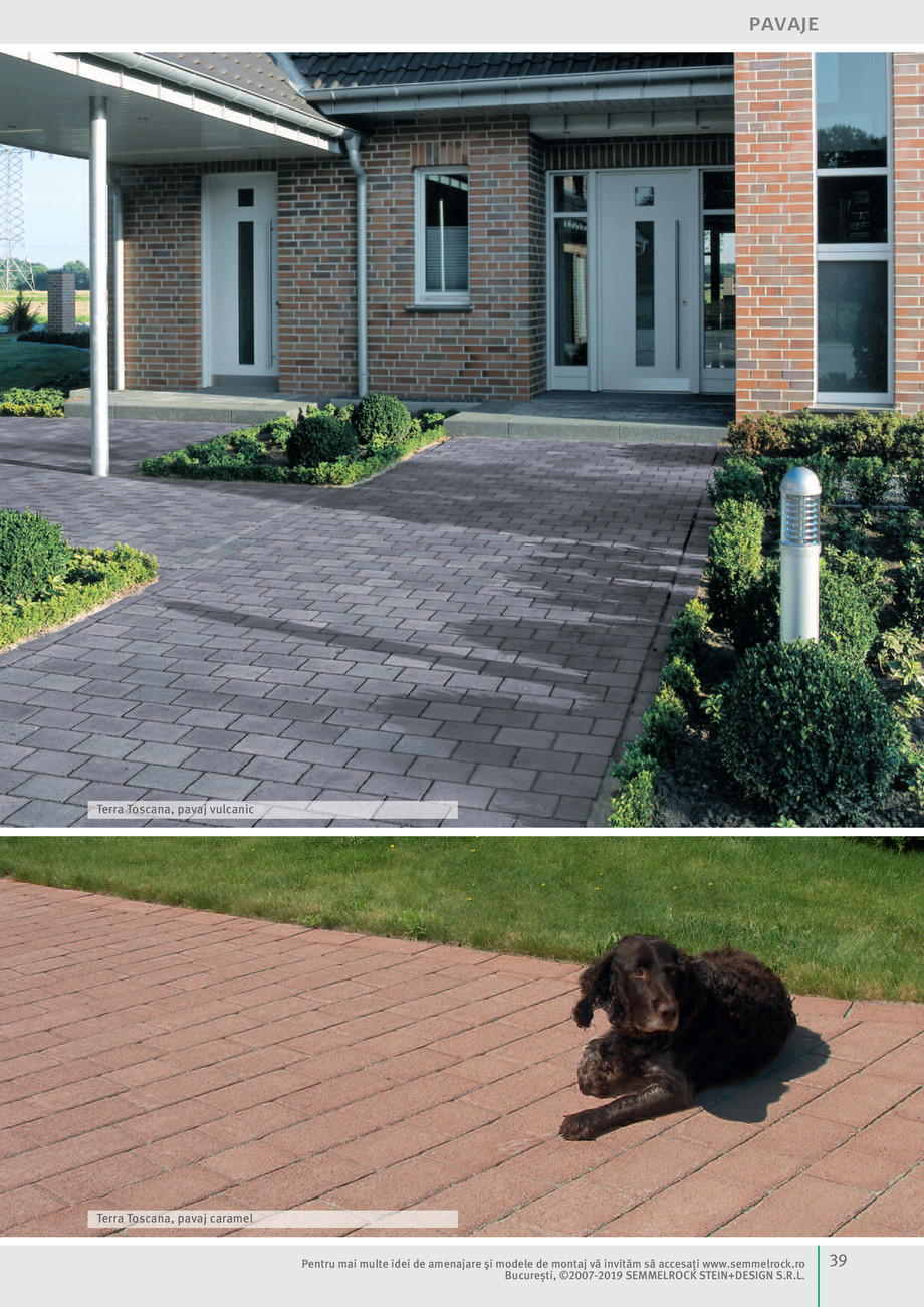 Pagina 41-Idei pentru grădină 2019 