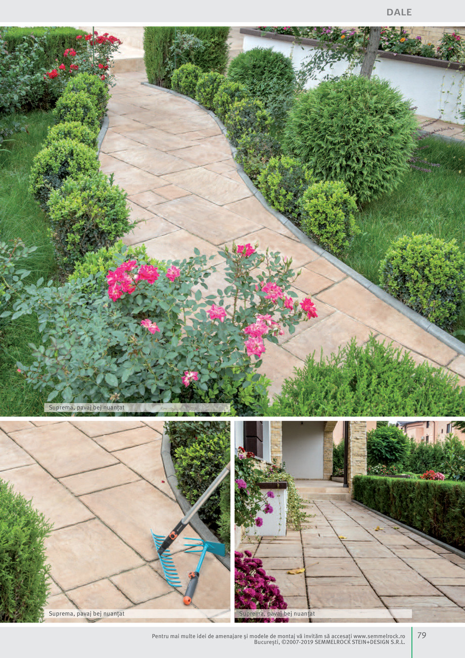 Pagina 81-Idei pentru grădină 2019 