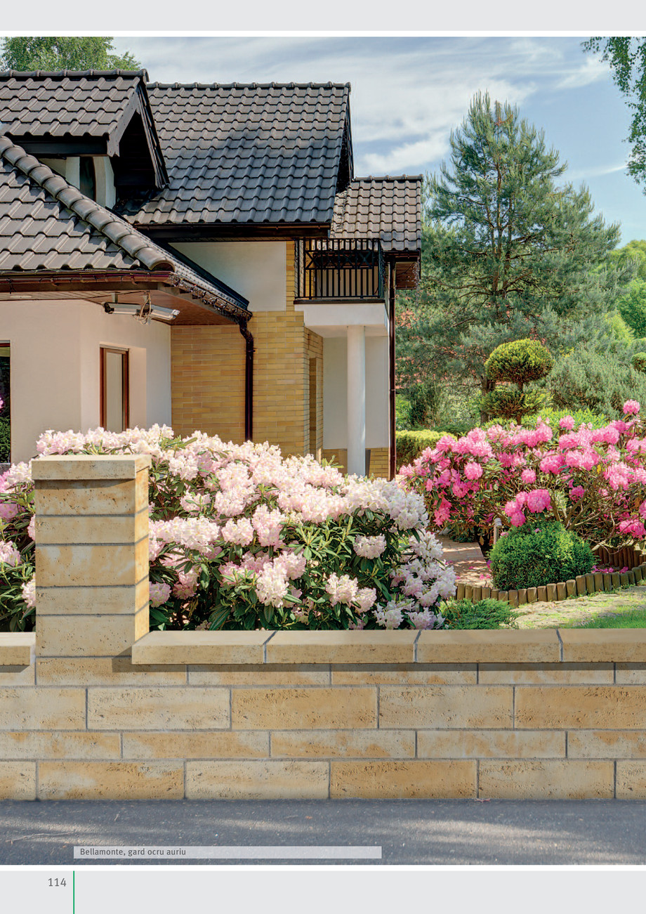 Pagina 116-Idei pentru grădină 2019 