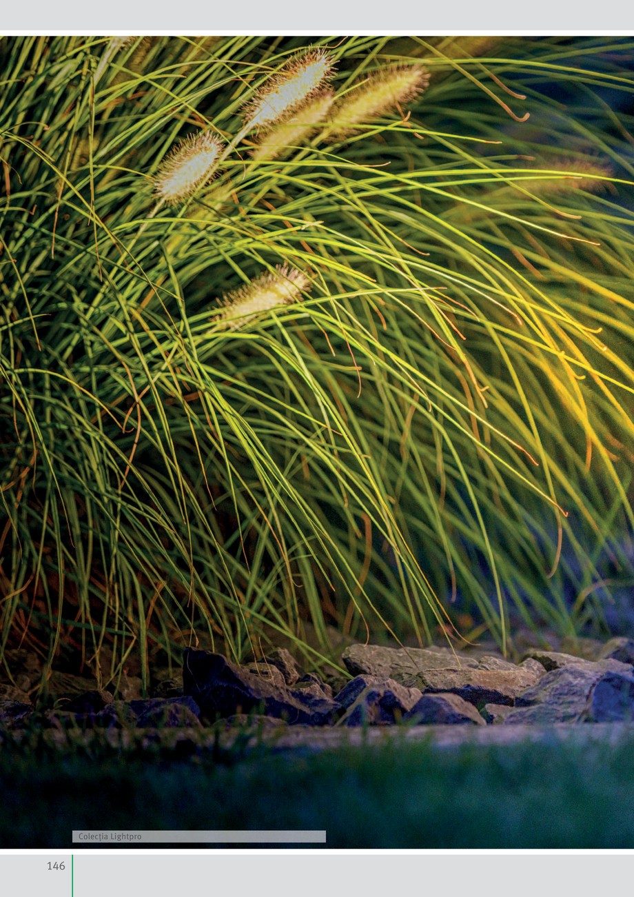 Pagina 148-Idei pentru grădină 2019 