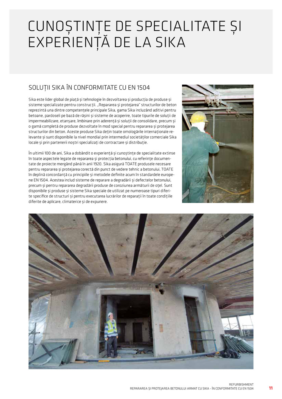 Pagina 13-Repararea si Protejarea Betonului 