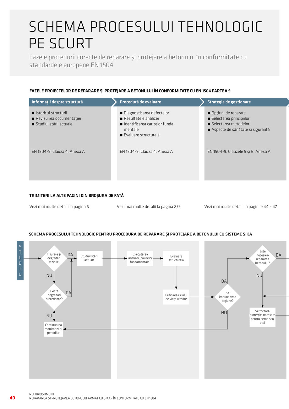 Pagina 42-Repararea si Protejarea Betonului 