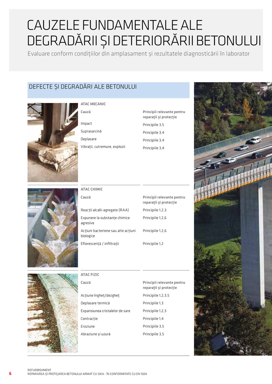 Pagina 8-Repararea si Protejarea Betonului 