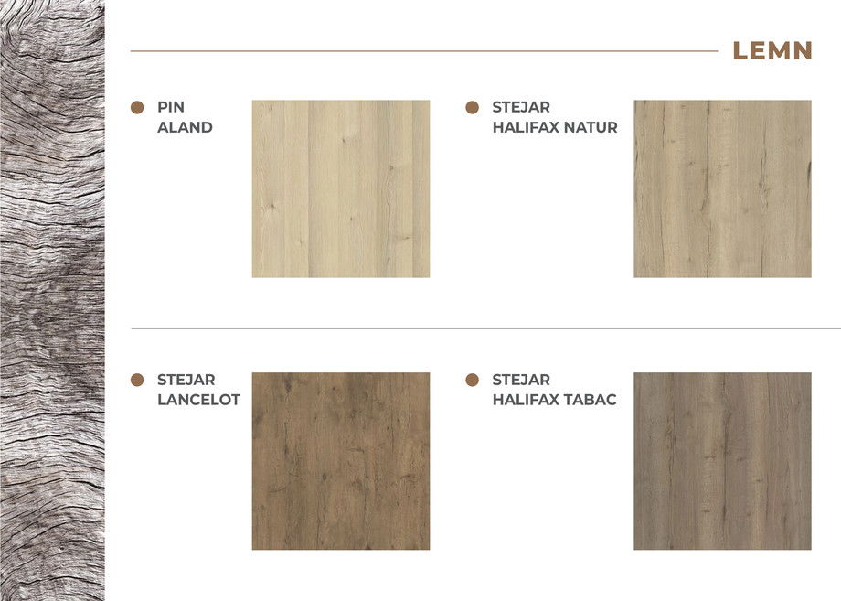 Pagina 2-Prezentare folii noi ianuarie 2024 
