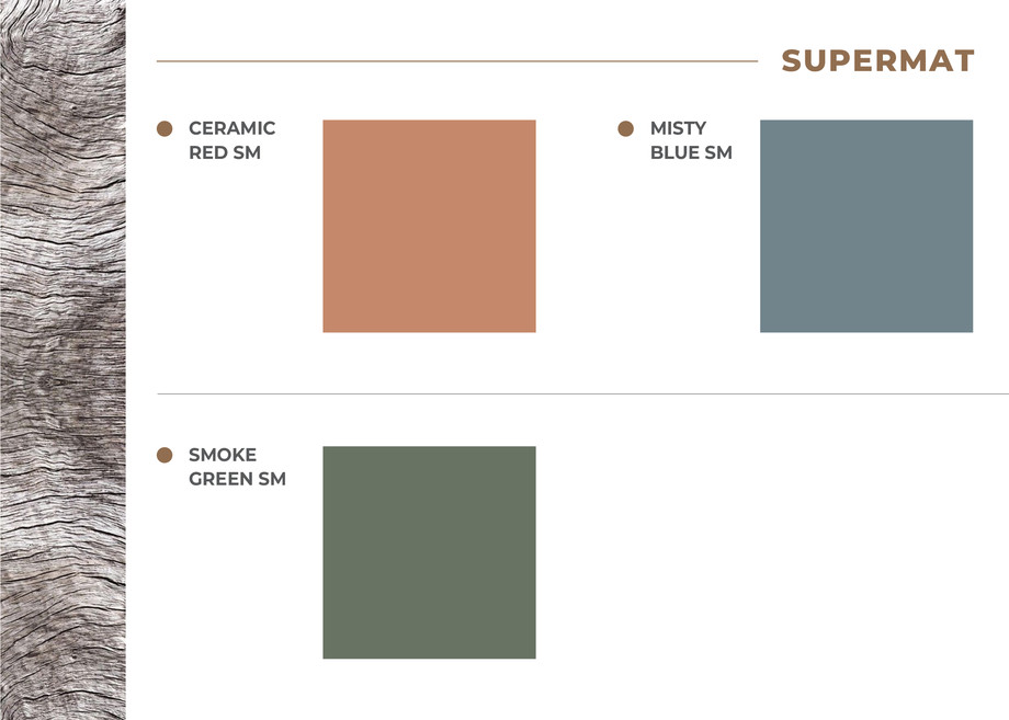 Pagina 4-Prezentare folii noi ianuarie 2024 