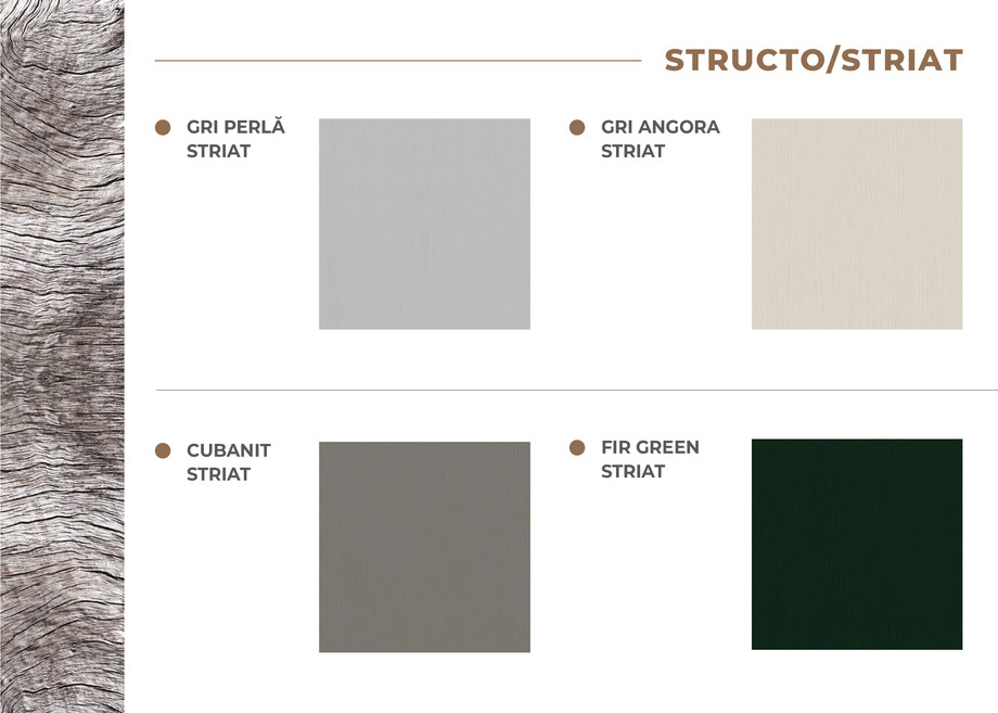 Pagina 5-Prezentare folii noi ianuarie 2024 