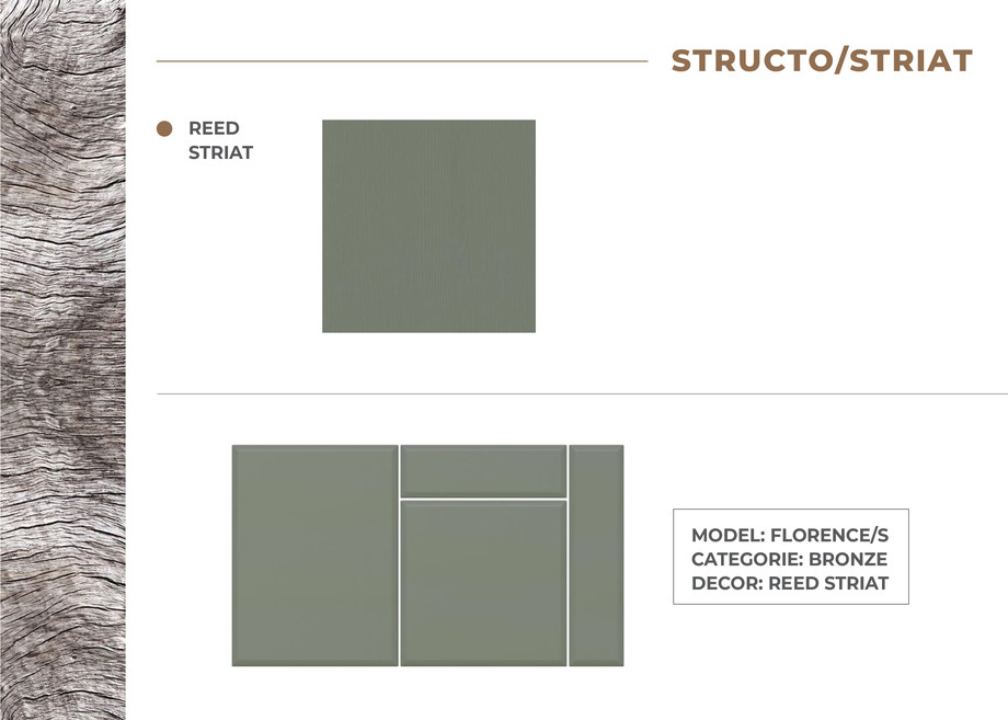 Pagina 6-Prezentare folii noi ianuarie 2024 