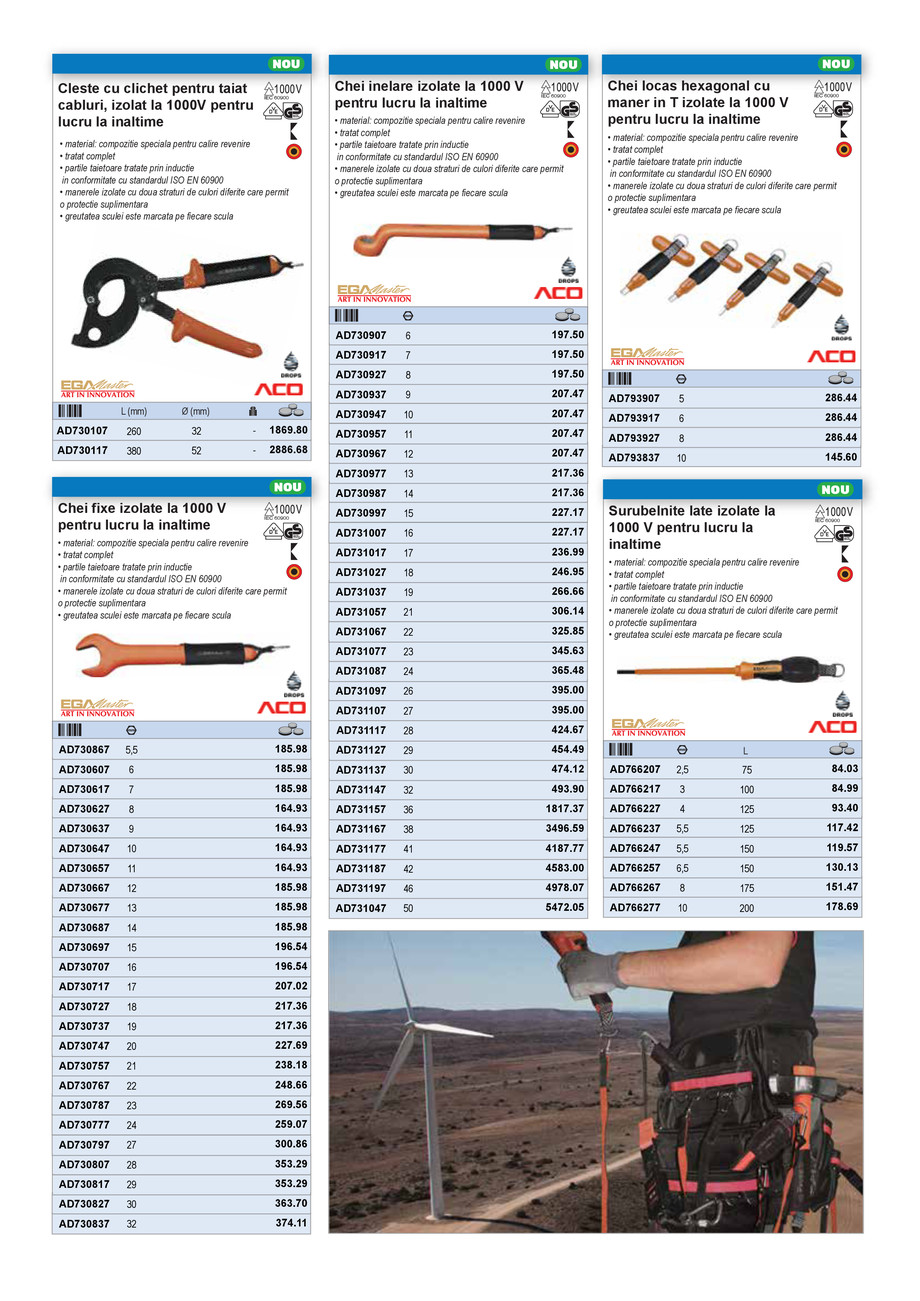 Pagina 19-Scule pentru lucrul la inaltime 