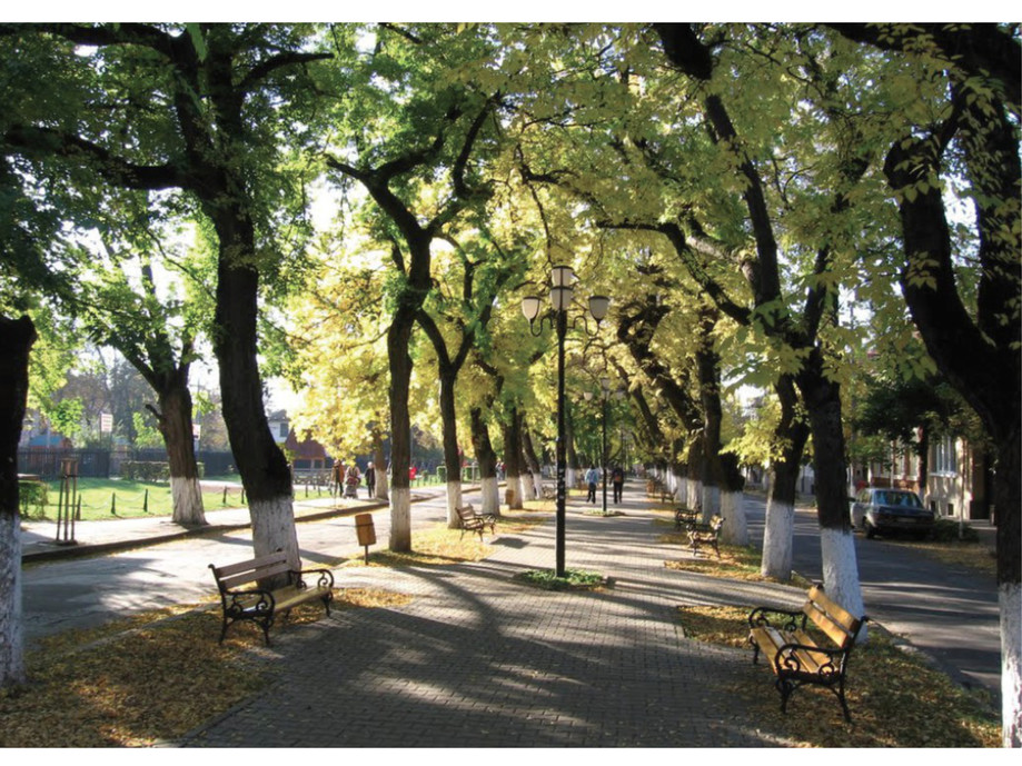 Pagina 3-Arhitect sef 