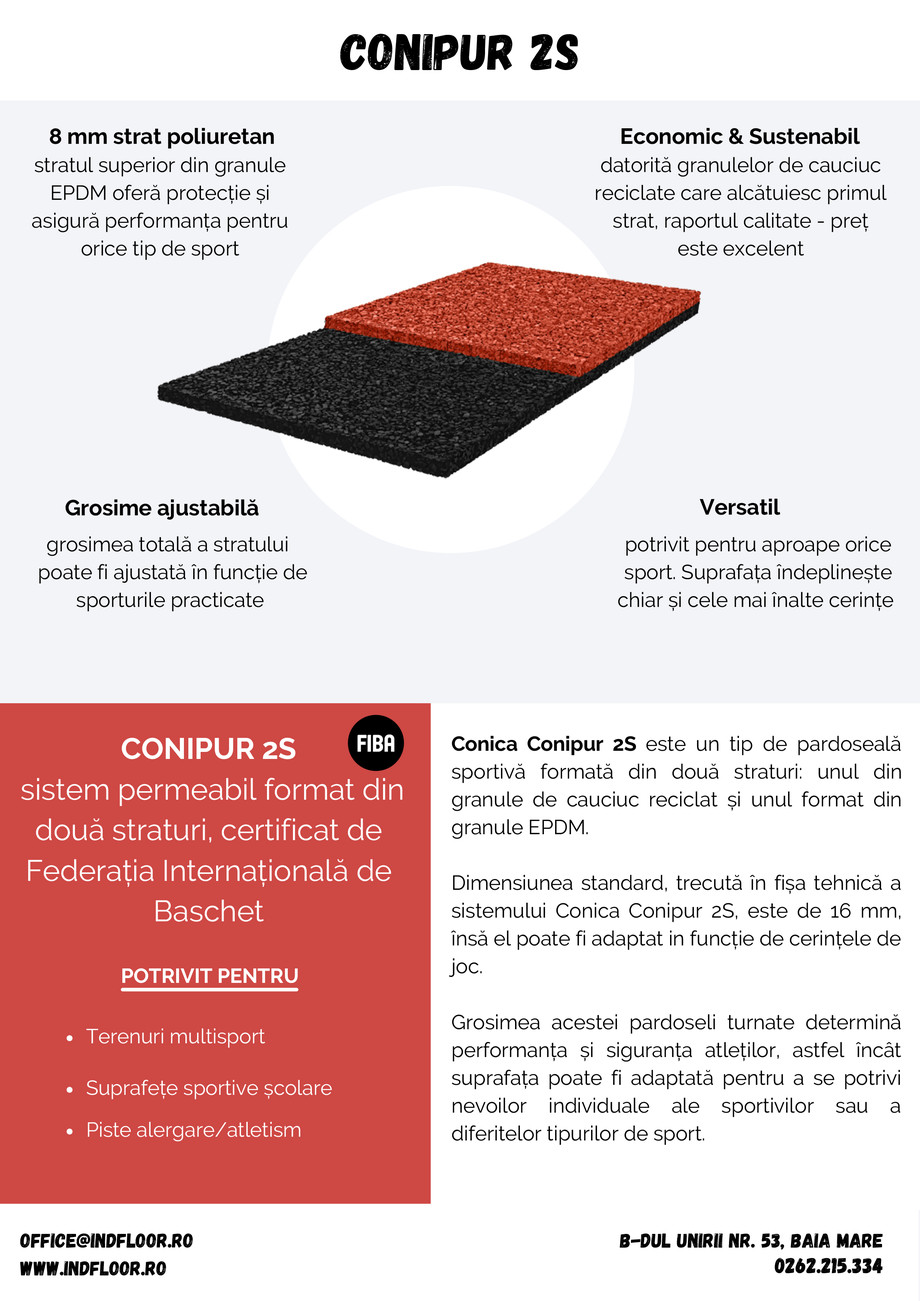 Pagina 1-Conica Conipur 2S 