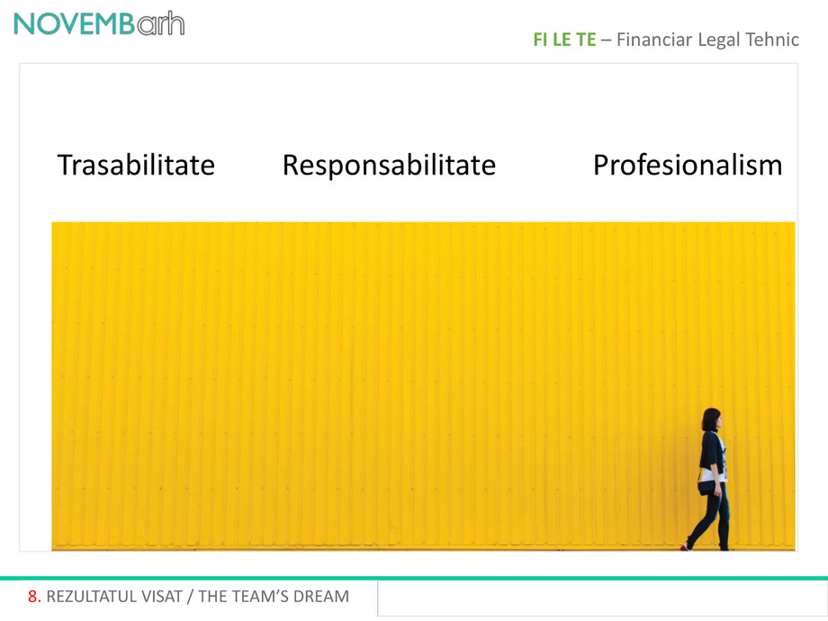 Pagina 9-Financiar - legal - tehnic 