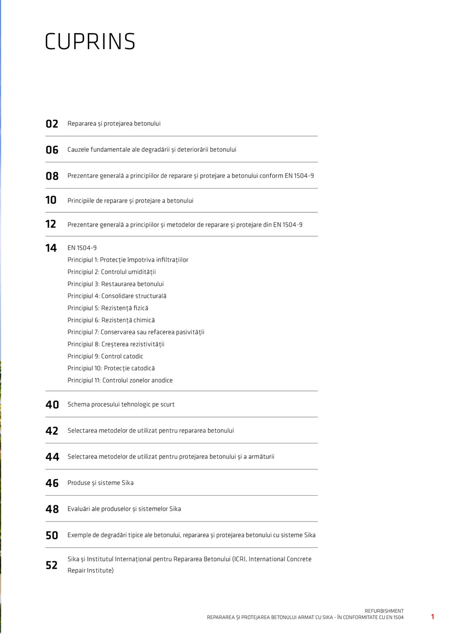 Pagina 3-Repararea si Protejarea Betonului 