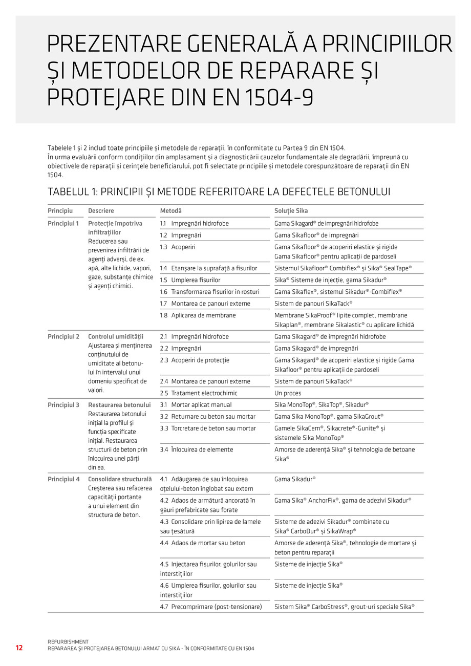 Pagina 14-Repararea si Protejarea Betonului 