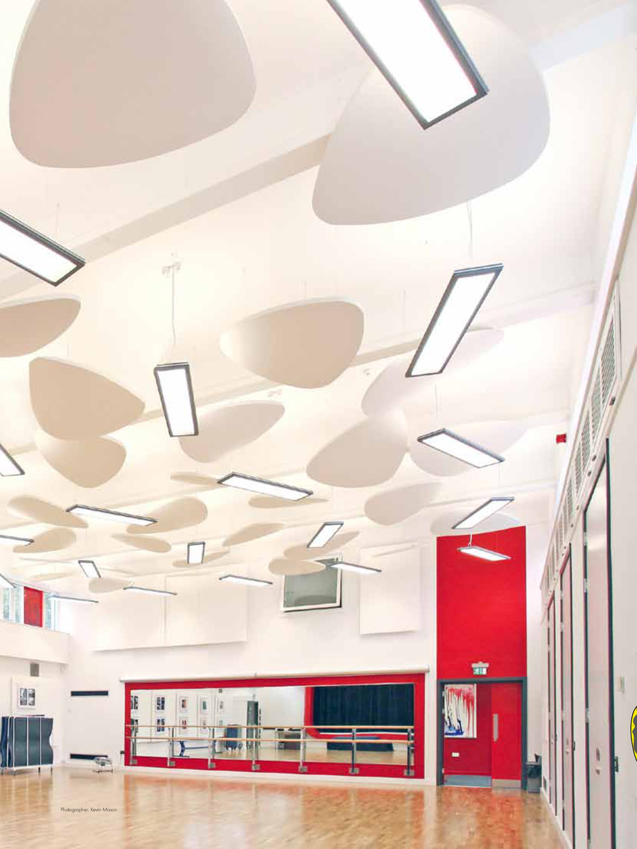 Pagina 8-Ecophon Solo - design original si performante acustice 