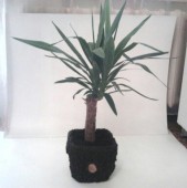 Ghivece ornamentale imitatie scoarta de copac