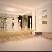 Idei design interior case