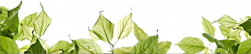 Knauf Insulation Romania contribuie la reducerea emisiilor de gaze cu efect de sera Knauf Insulation Romania contribuie la reducerea emisiilor de gaze cu efect de sera - Knauf Insulation