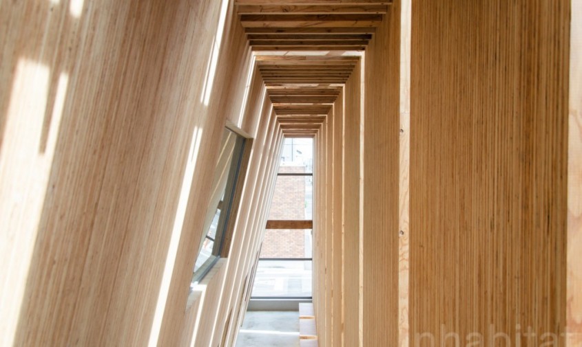 Prima cladire realizata integral din lemn primeste acordul de functionare - Prima cladire realizata integral din