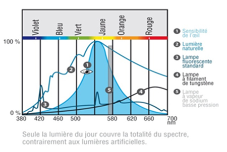 Iluminatul natural – obiectiv Hexadome Construct - Iluminatul natural – obiectiv Hexadome Construct