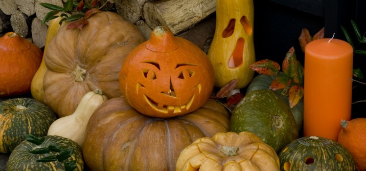 Halloween: sculptarea bostanilor si a tartacutelor - Halloween: sculptarea bostanilor si a tartacutelor