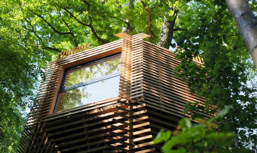 O casă în copac din Franța care are un interior surprinzător - O casă în copac