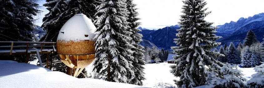 Casa din copac în formă de ou oferă o priveliște uimitoare către Alpii italieni - Casa
