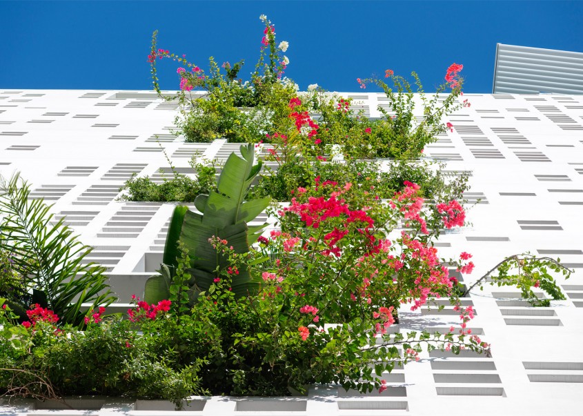 La turnul lui Jean Nouvel din Cipru plantele tasnesc prin pereti - La turnul lui Jean