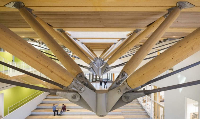Cea mai mare clădire pe structura din lemn lamelar simbol al durabilității - Cea mai mare