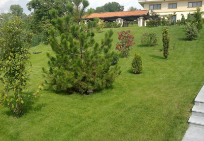 Intretinere gradini si spatii verzi comerciale Eco Garden Construct - Intretinere gradini si spatii verzi comerciale
