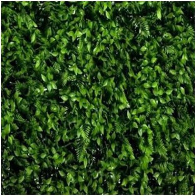 Greenwall Small Fern Mix (VV 6012) - Green wall artificial