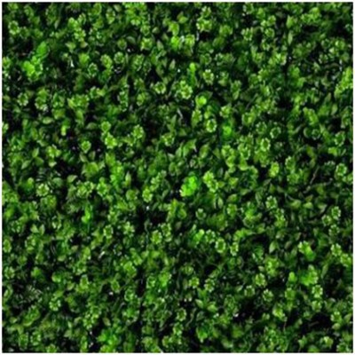 Greenwall Clover Mix (VV 6013) - Green wall artificial
