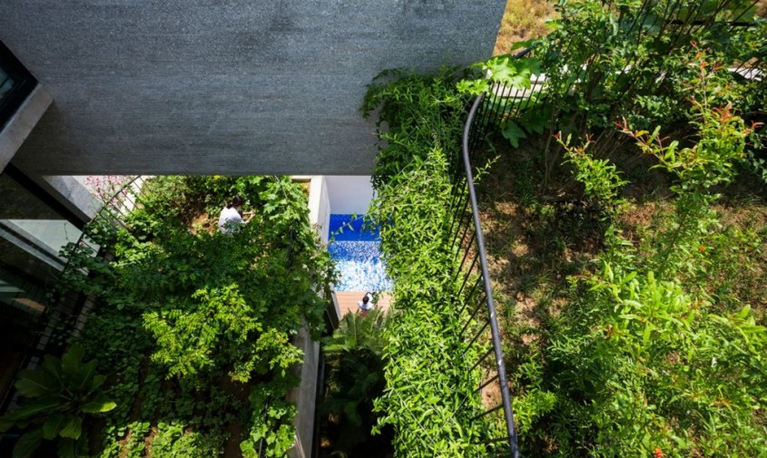 Casa Binh - O casa in care predomina vegetatia si se cultiva legume