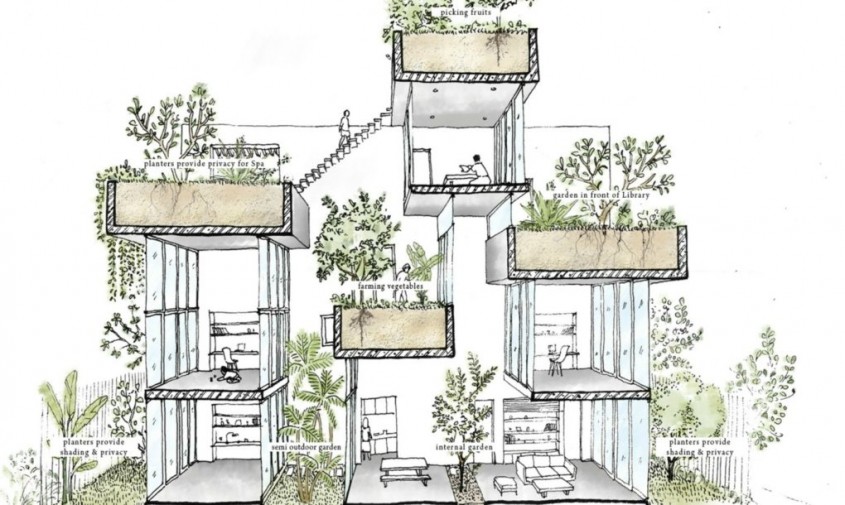 Casa Binh - planuri - O casa in care predomina vegetatia si se cultiva legume