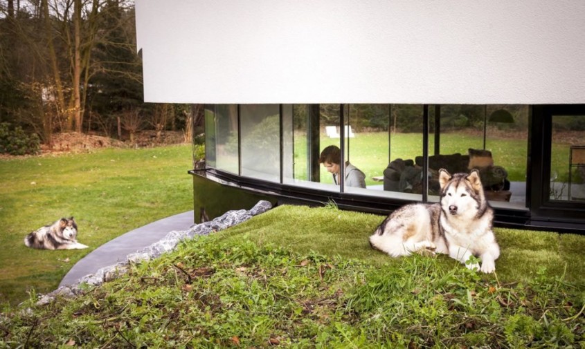 360 Villa - O casa cu perspective la 360° le permite proprietarilor sa-si poata urmari cainii