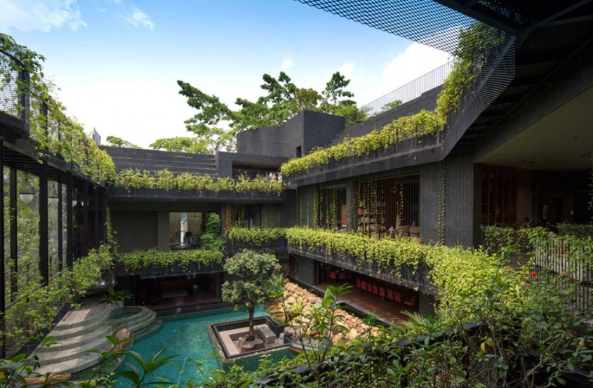 O casa ce pare invadata de vegetatia luxurianta - O casa ce pare invadata de vegetatia